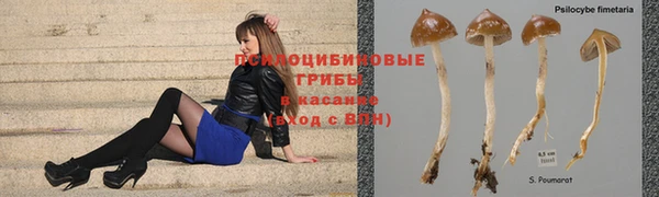 a pvp Надым