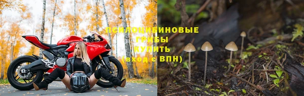 apvp Наволоки