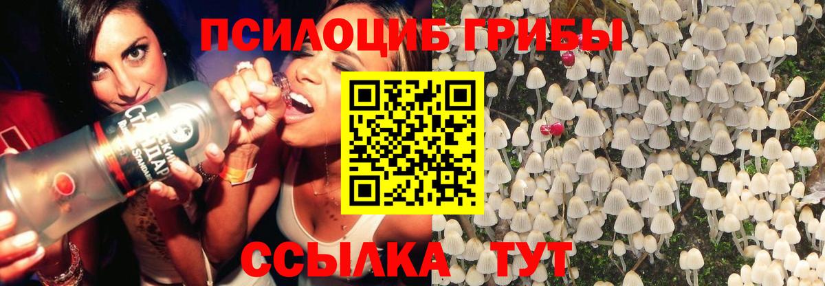 Псилоцибиновые грибы Magic Shrooms  Псилоцибиновые грибы MAGIC MUSHROOMS  цены наркотик  Морозовск  Вход с VPN 